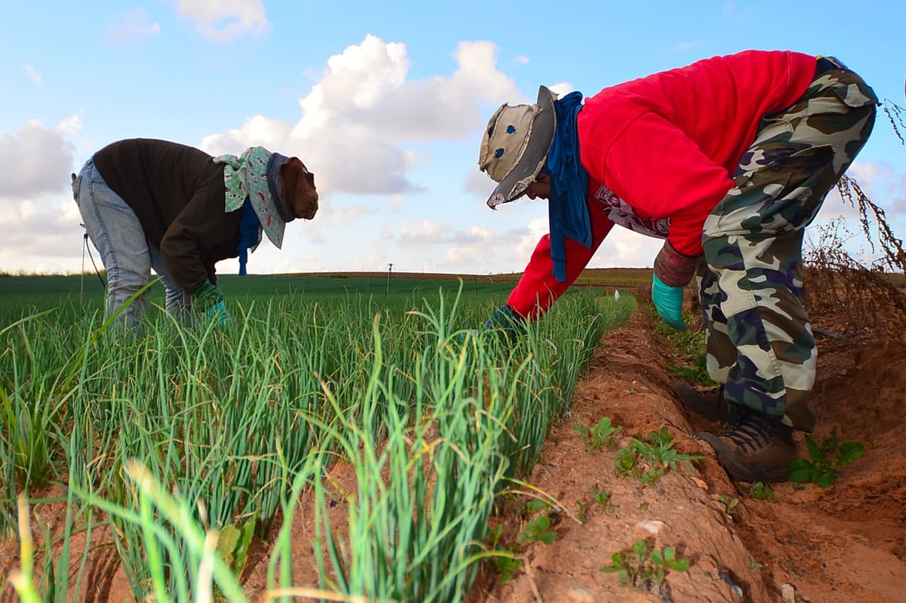 Best way to Do Eco and Agriculture