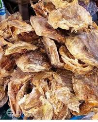 STOCKFISH (General)